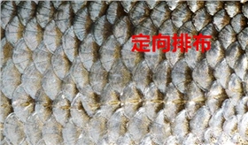 定向排布.jpg 定向排布.jpg